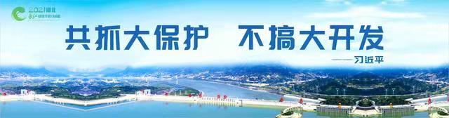 华体会